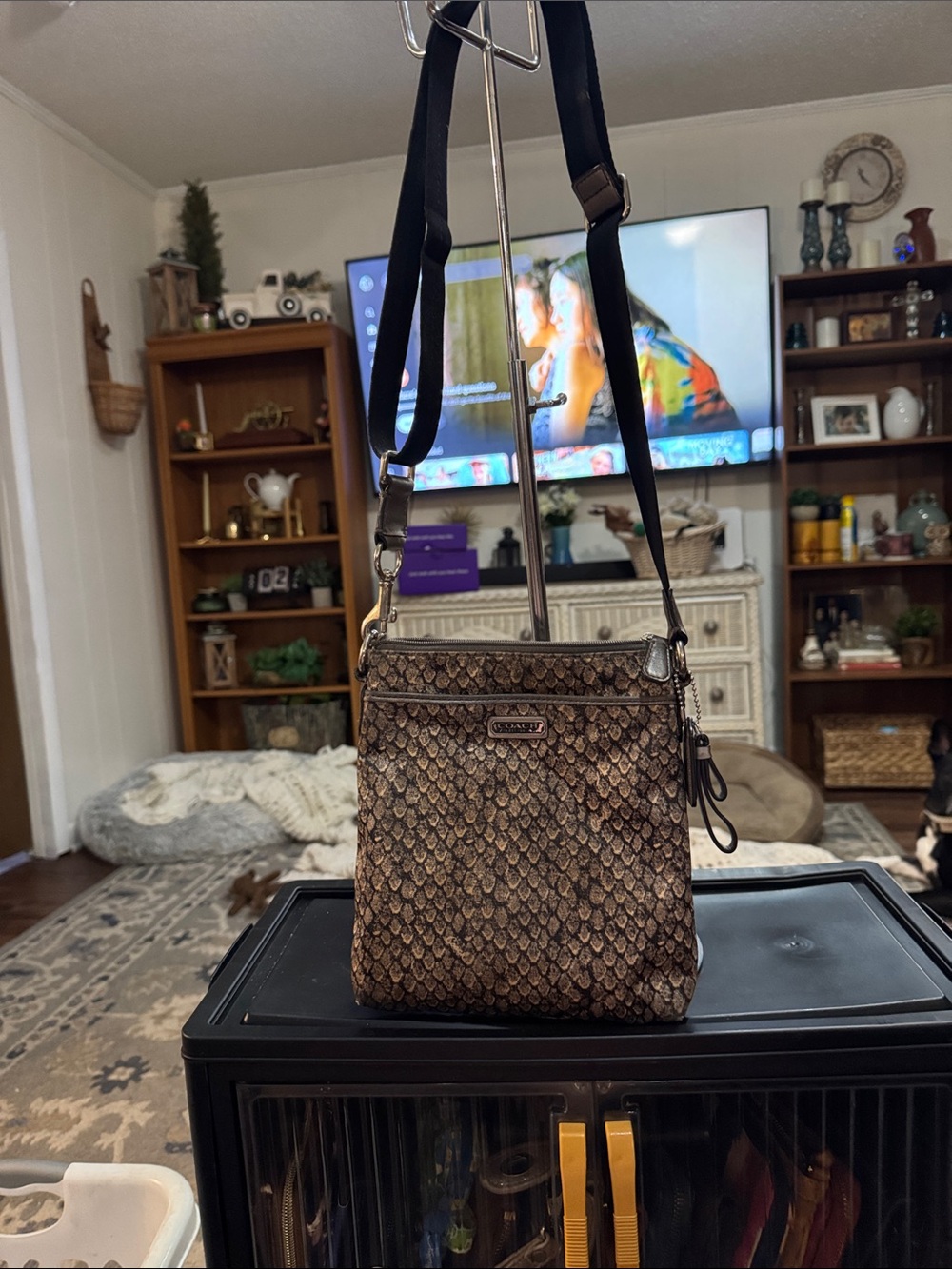 Coach Brown:Gray Nylon Snakeskin Pattern Crossbody Bag with Black Strap
